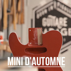 Minicaster édition automne