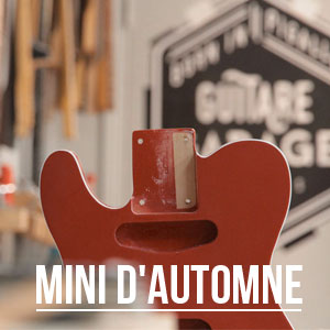 Minicaster édition automne
