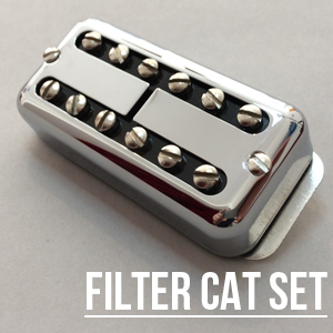 Micros Hepcat "FilterCat"