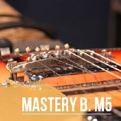 Upgrade Rickenbaker : Mastery Bridge M5