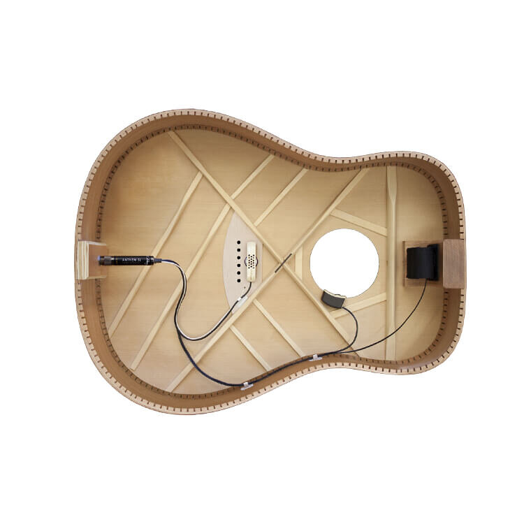 LR Baggs système "anthem SL" – Image 2