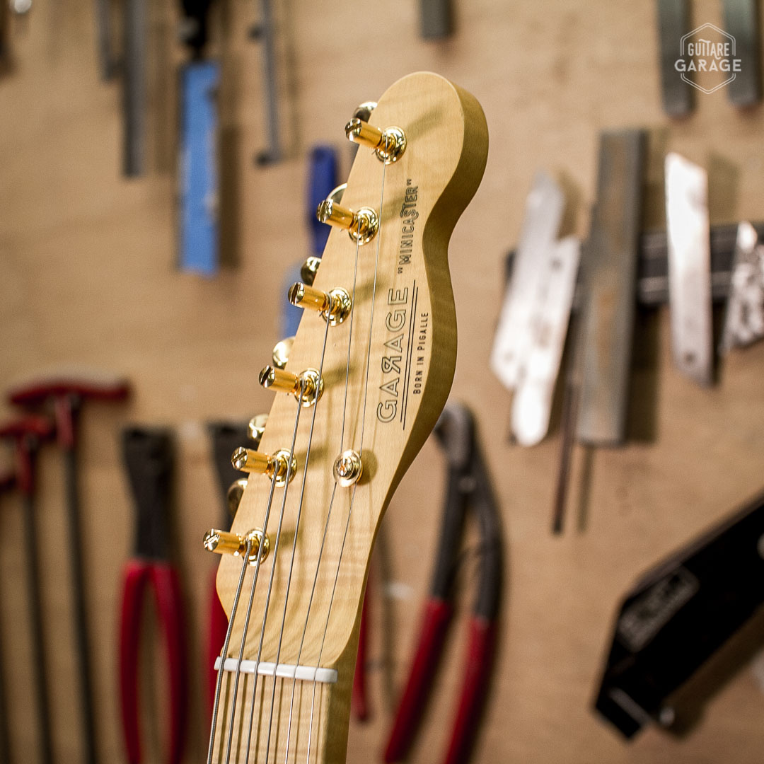 Minicaster Blackguard Gold Edition