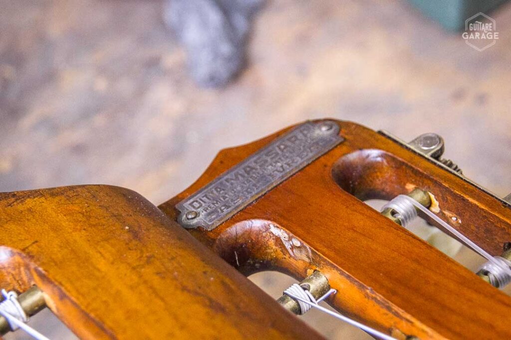 Dita Massara Restauration Guitare Harpe