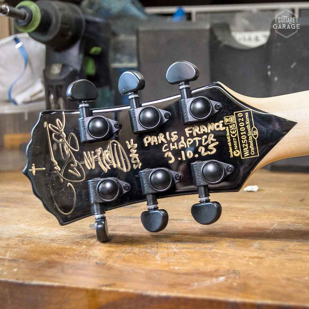 Wylde Audio Barbarian Corridor Limited Sabbath Edition Purple